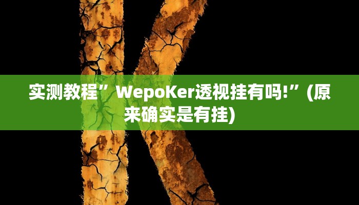 实测教程”WepoKer透视挂有吗!”(原来确实是有挂)
