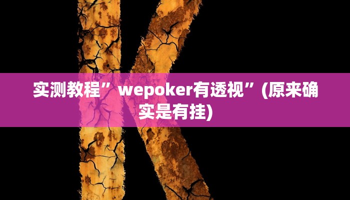 实测教程”wepoker有透视”(原来确实是有挂)