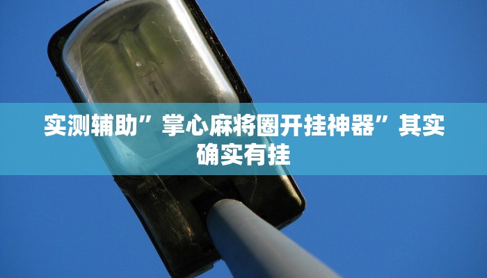 实测辅助”掌心麻将圈开挂神器”其实确实有挂