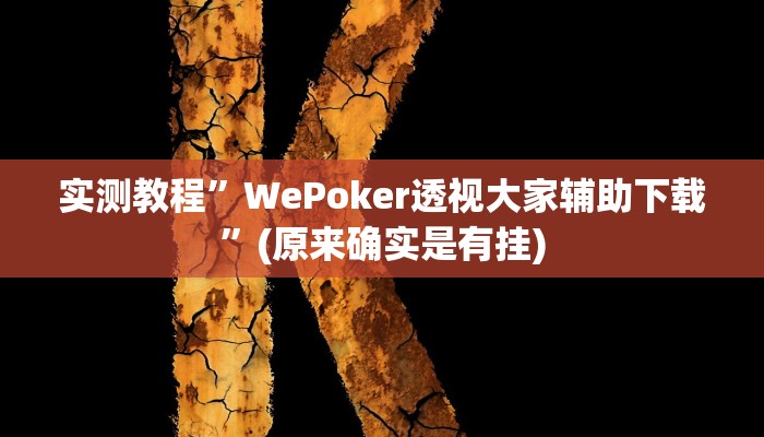 实测教程”WePoker透视大家辅助下载”(原来确实是有挂)