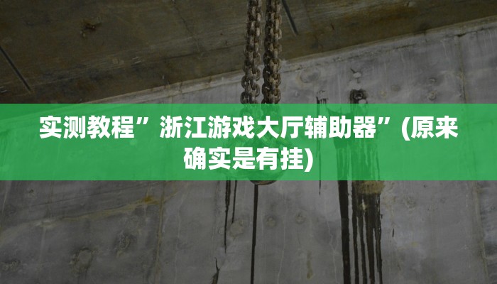 实测教程”浙江游戏大厅辅助器”(原来确实是有挂)