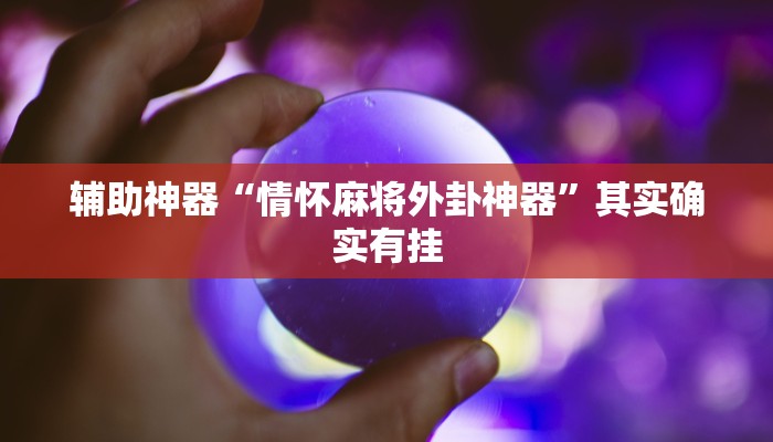 辅助神器“情怀麻将外卦神器”其实确实有挂