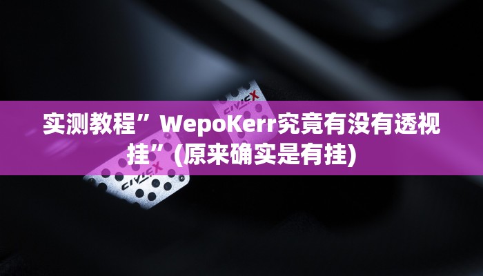 实测教程”WepoKerr究竟有没有透视挂”(原来确实是有挂)
