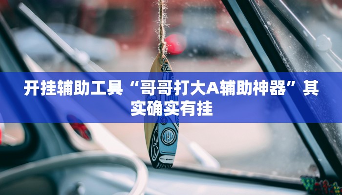 开挂辅助工具“哥哥打大A辅助神器”其实确实有挂