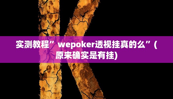 实测教程”wepoker透视挂真的么”(原来确实是有挂)