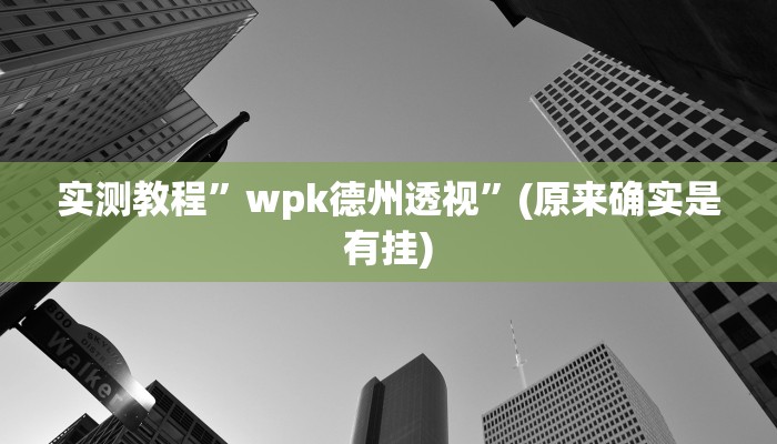 实测教程”wpk德州透视”(原来确实是有挂)