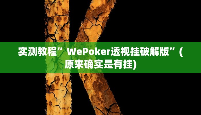 实测教程”WePoker透视挂破解版”(原来确实是有挂)