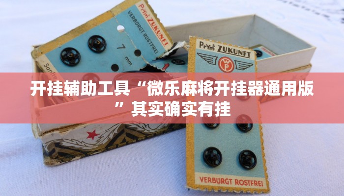 开挂辅助工具“wpk开挂透视辅助软件”其实确实有挂