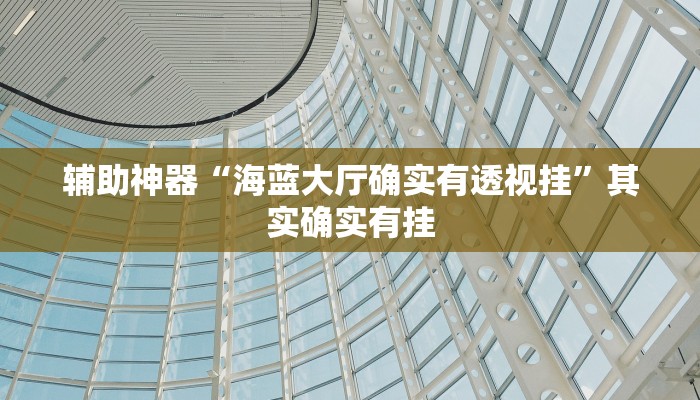 辅助神器“海蓝大厅确实有透视挂”其实确实有挂