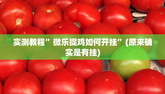 实测教程”微乐捉鸡如何开挂”(原来确实是有挂)