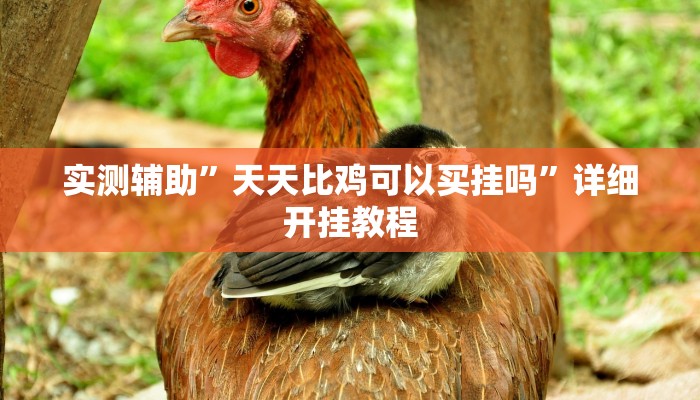 实测辅助”天天比鸡可以买挂吗”详细开挂教程
