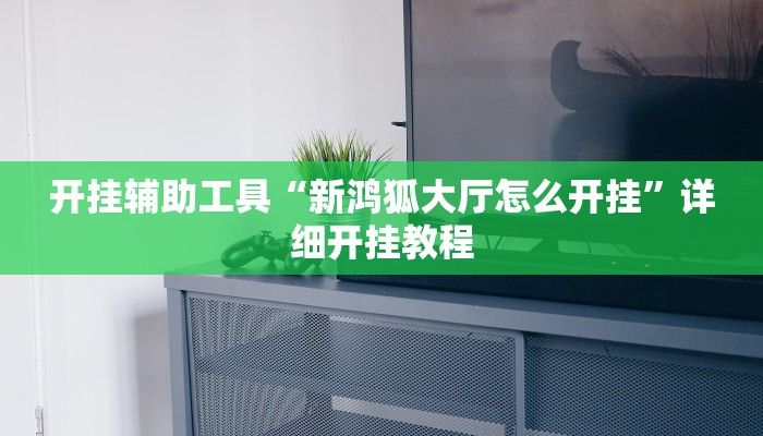 开挂辅助工具“新鸿狐大厅怎么开挂”详细开挂教程