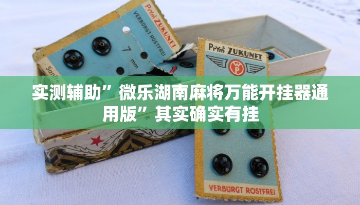 实测辅助”微乐湖南麻将万能开挂器通用版”其实确实有挂