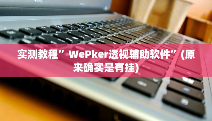 实测教程”WePker透视辅助软件”(原来确实是有挂)