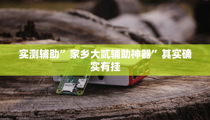实测辅助”家乡大贰辅助神器”其实确实有挂