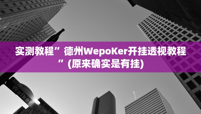 实测教程”德州WepoKer开挂透视教程”(原来确实是有挂)