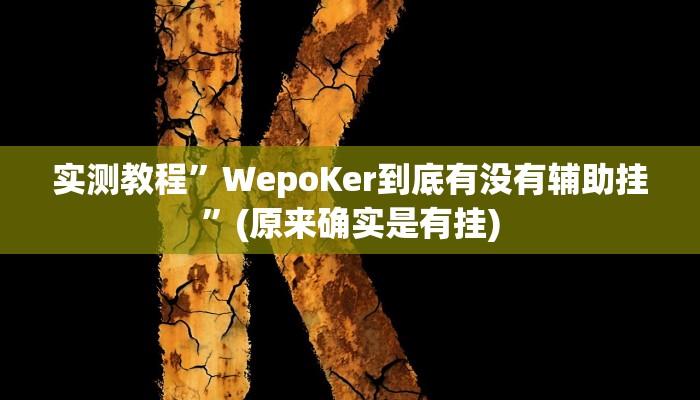 实测教程”WepoKer到底有没有辅助挂”(原来确实是有挂)