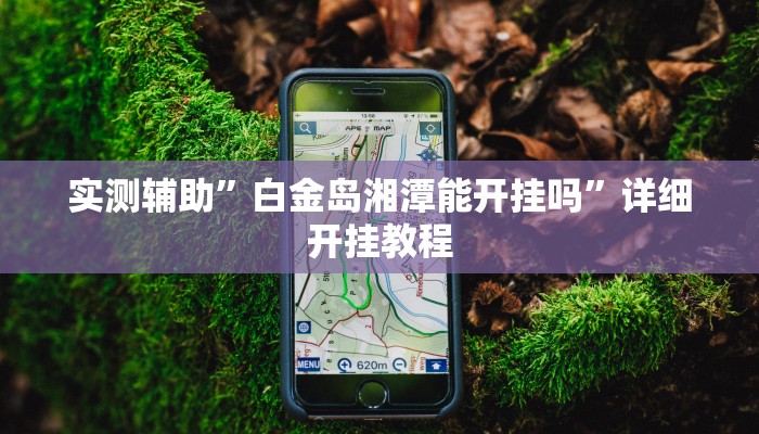 实测辅助”白金岛湘潭能开挂吗”详细开挂教程