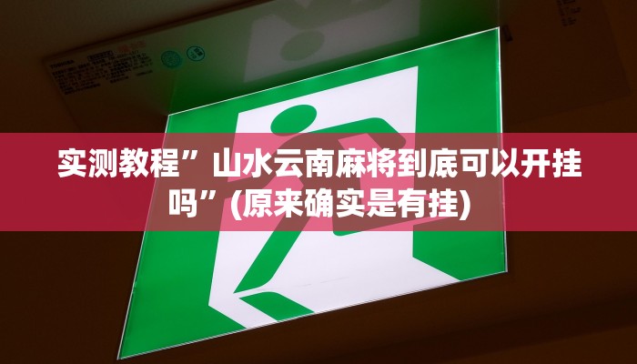 实测教程”山水云南麻将到底可以开挂吗”(原来确实是有挂)