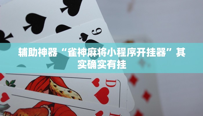 辅助神器“雀神麻将小程序开挂器”其实确实有挂