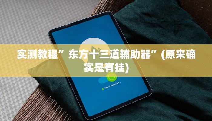 实测教程”东方十三道辅助器”(原来确实是有挂)