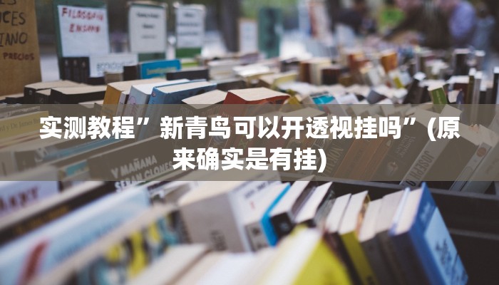 实测教程”新青鸟可以开透视挂吗”(原来确实是有挂)