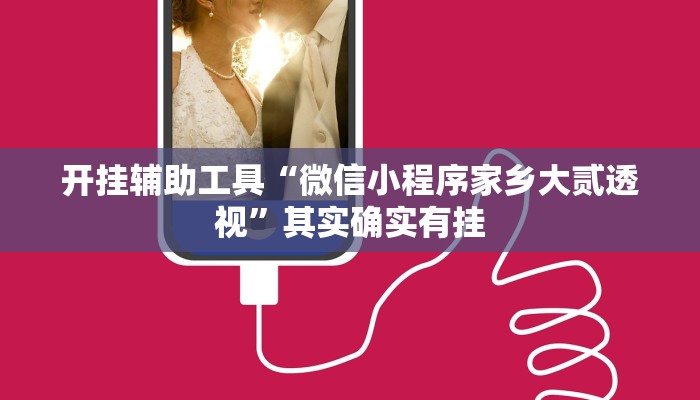 开挂辅助工具“微信小程序家乡大贰透视”其实确实有挂