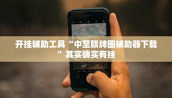 开挂辅助工具“中至赣牌圈辅助器下载”其实确实有挂