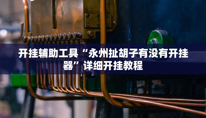 开挂辅助工具“永州扯胡子有没有开挂器”详细开挂教程