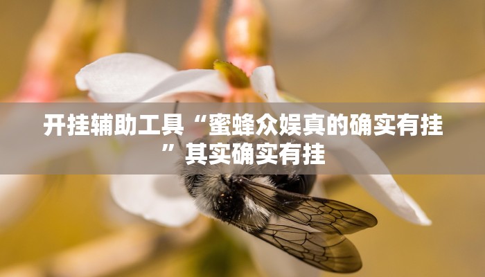 开挂辅助工具“蜜蜂众娱真的确实有挂”其实确实有挂