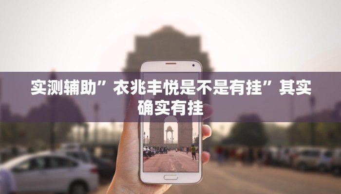 实测辅助”衣兆丰悦是不是有挂”其实确实有挂