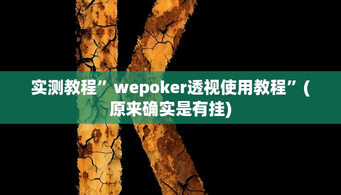 实测教程”wepoker透视使用教程”(原来确实是有挂)