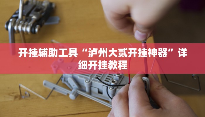 开挂辅助工具“泸州大贰开挂神器”详细开挂教程
