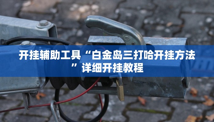 开挂辅助工具“白金岛三打哈开挂方法”详细开挂教程