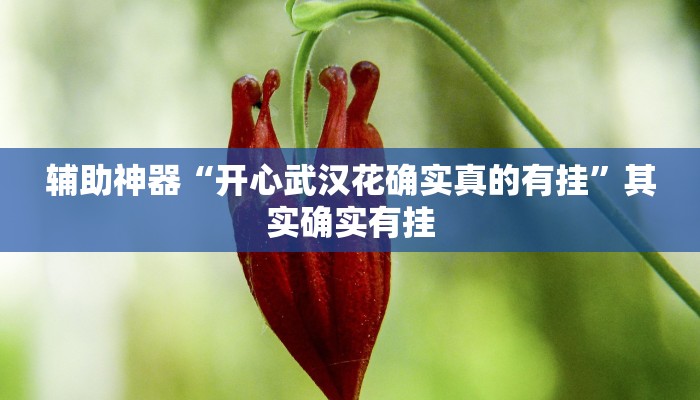 辅助神器“开心武汉花确实真的有挂”其实确实有挂