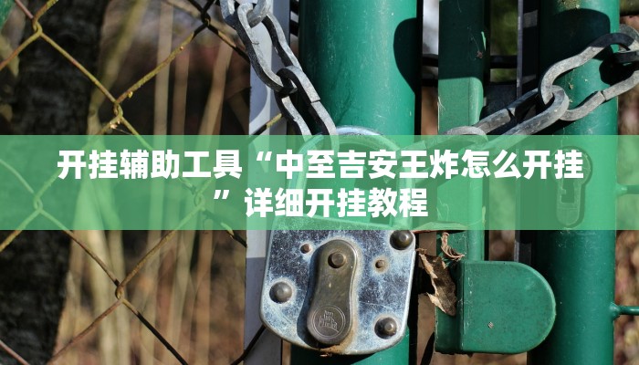 开挂辅助工具“中至吉安王炸怎么开挂”详细开挂教程