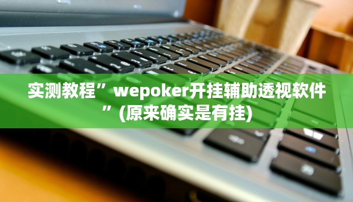 实测教程”wepoker开挂辅助透视软件”(原来确实是有挂)