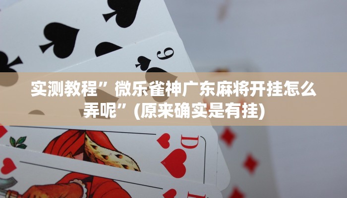 实测教程”微乐雀神广东麻将开挂怎么弄呢”(原来确实是有挂)
