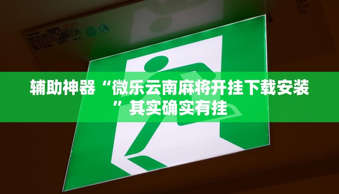 辅助神器“微乐云南麻将开挂下载安装”其实确实有挂