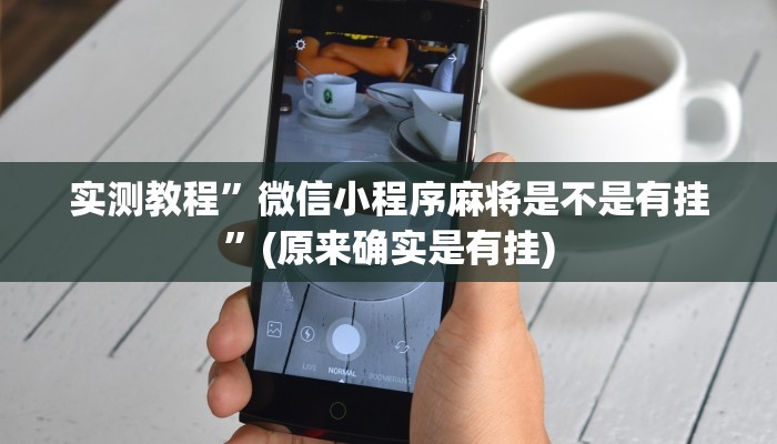 辅助神器“鸿运十三张确实真的有挂”详细开挂教程