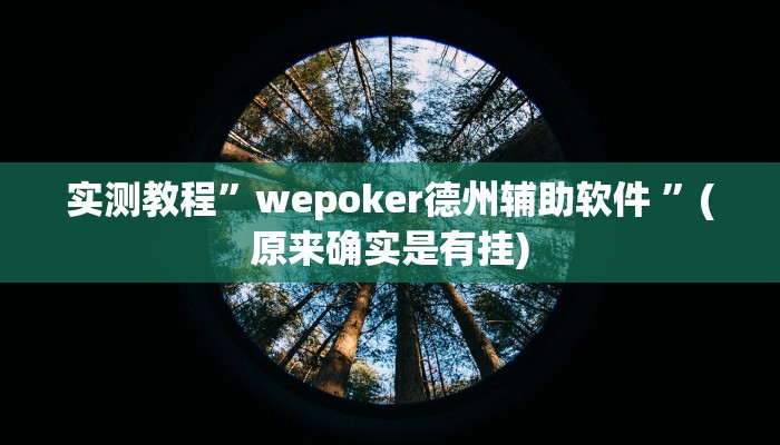 实测教程”wepoker德州辅助软件 ”(原来确实是有挂)