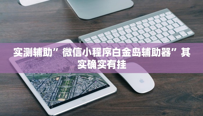 实测辅助”微信小程序白金岛辅助器”其实确实有挂