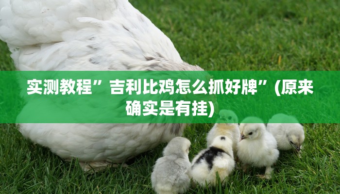 实测教程”hhpoker作弊挂图片”(原来确实是有挂)