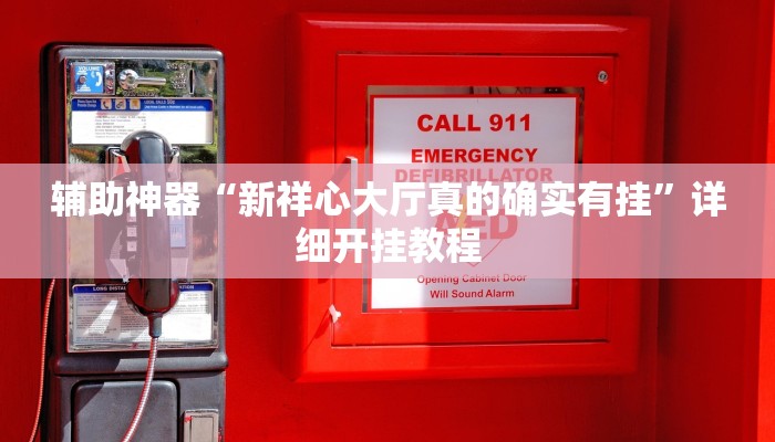 辅助神器“新祥心大厅真的确实有挂”详细开挂教程
