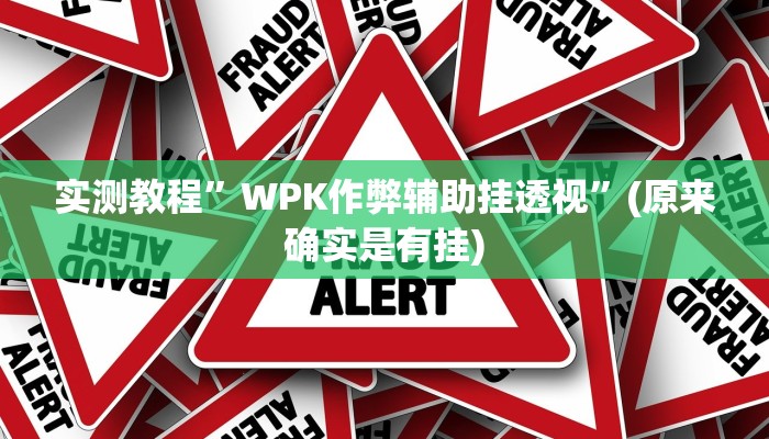实测教程”WPK作弊辅助挂透视”(原来确实是有挂)