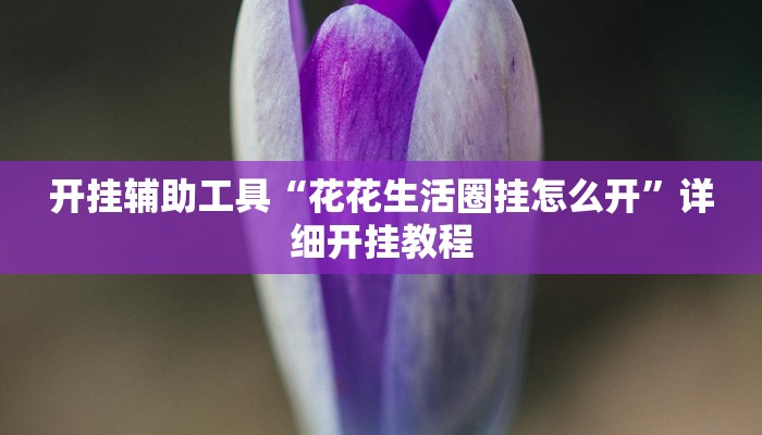 开挂辅助工具“花花生活圈挂怎么开”详细开挂教程