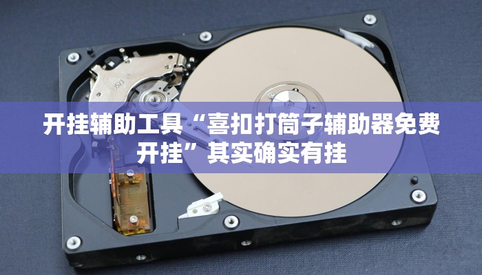 开挂辅助工具“喜扣打筒子辅助器免费开挂”其实确实有挂