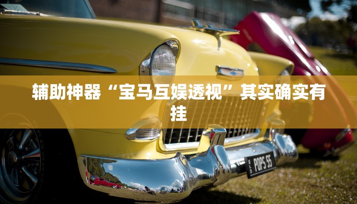 辅助神器“宝马互娱透视”其实确实有挂