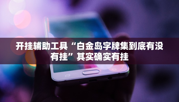 开挂辅助工具“畅玩十三张开挂辅助软件”其实确实有挂