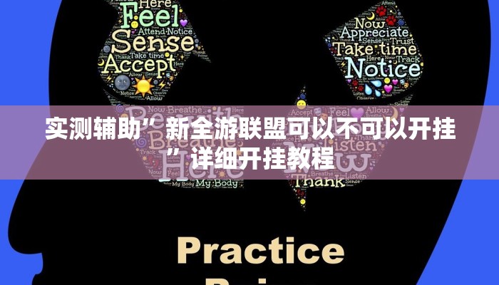实测教程”WepoKer透视挂真的假的”(原来确实是有挂)